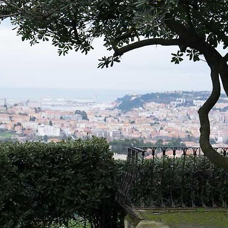 Bed and Breakfast D'Ago48 Ancona Exteriér fotografie